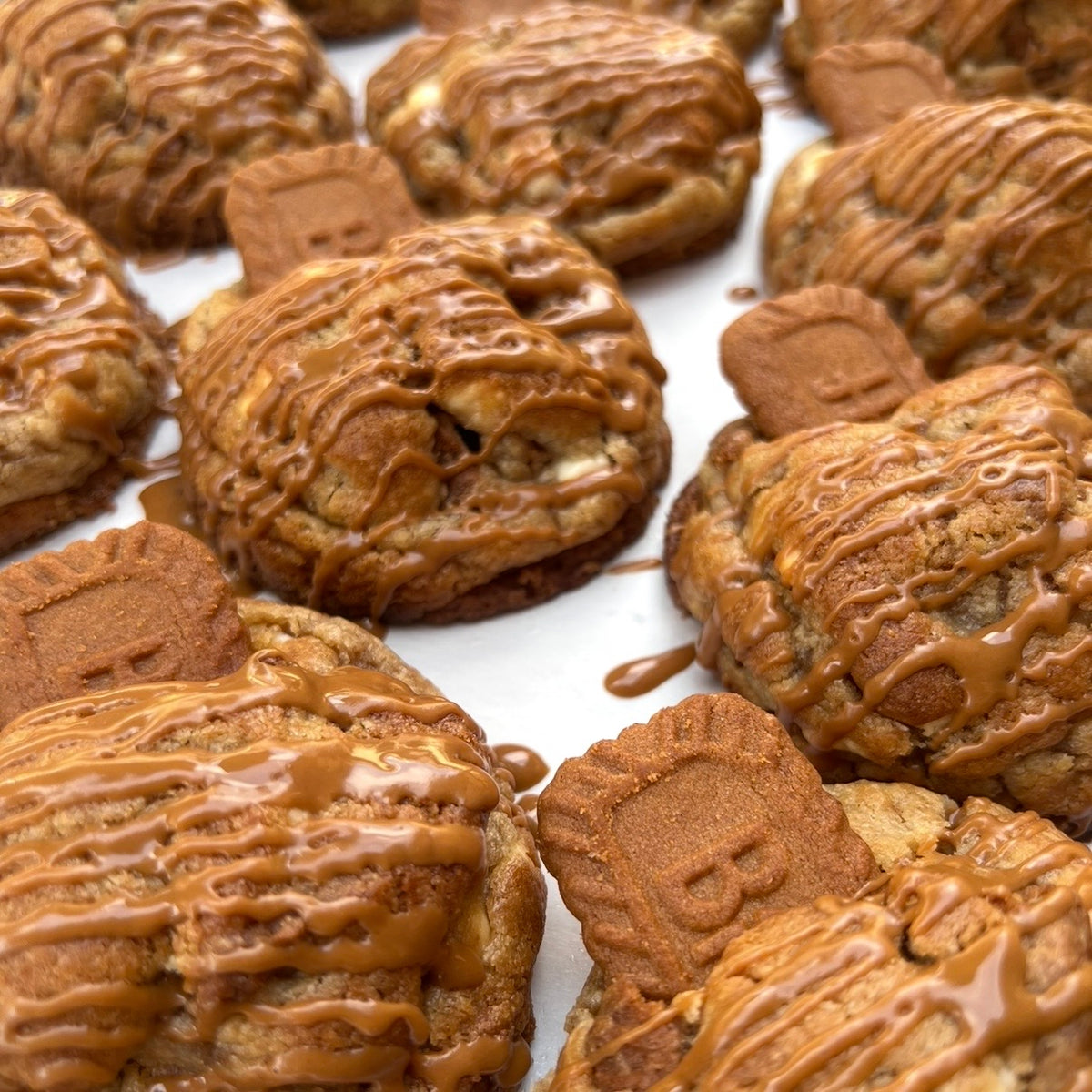 Biscoff Cookie 4-Pack