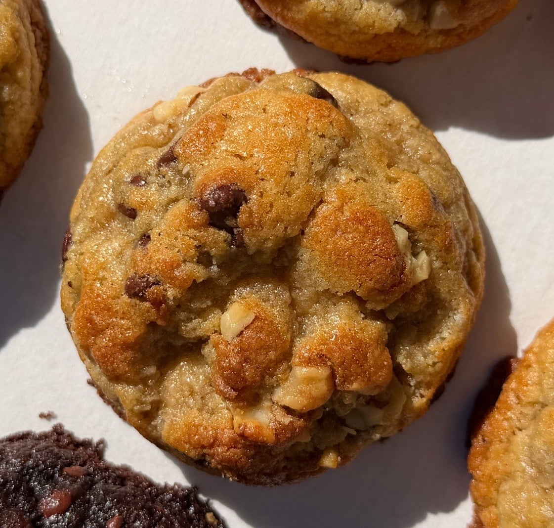 Chocolate Chip Walnut Cookie 4-Pack