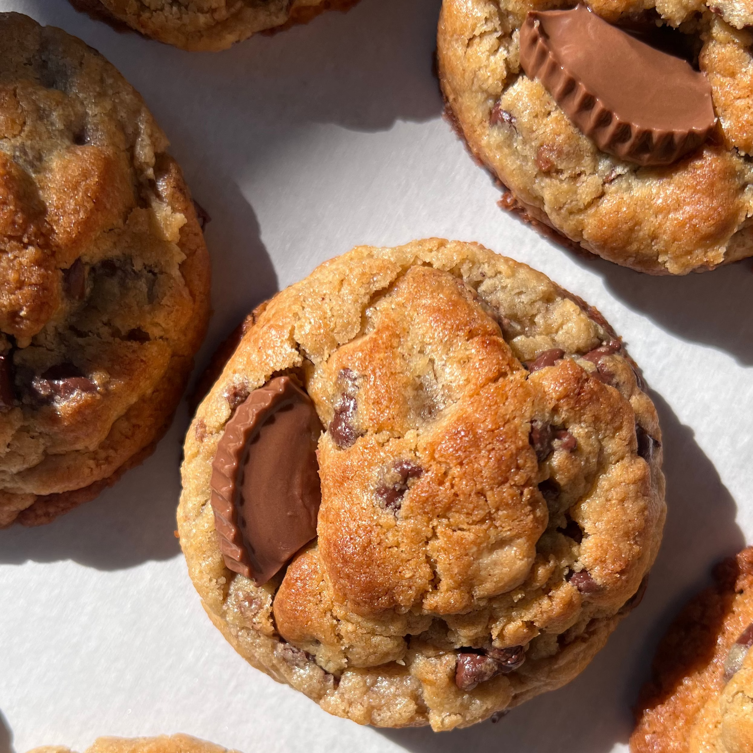 The Specialty Cookie Box