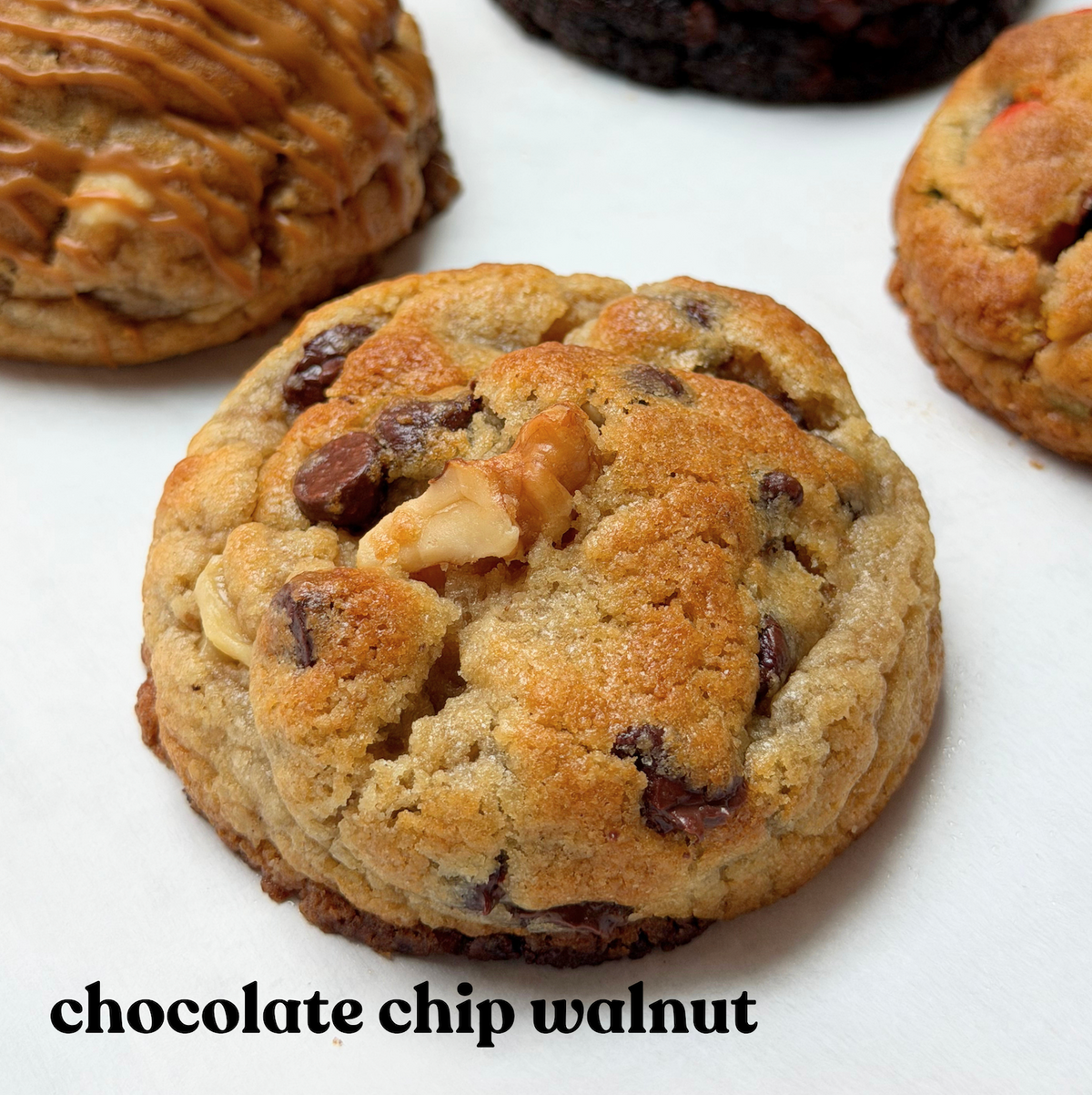 Chocolate Chip Walnut Cookie 4-Pack