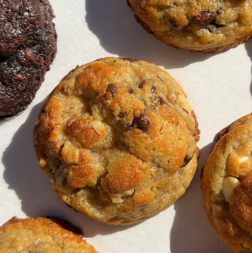 Chocolate Chip Walnut Cookie 4-Pack