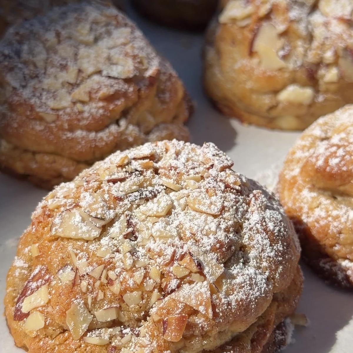 Almond Biscotti Cookie 4-Pack