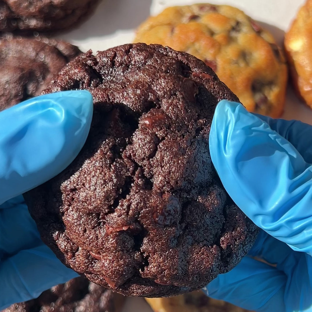 Double Chocolate Chip Cookie 4-Pack
