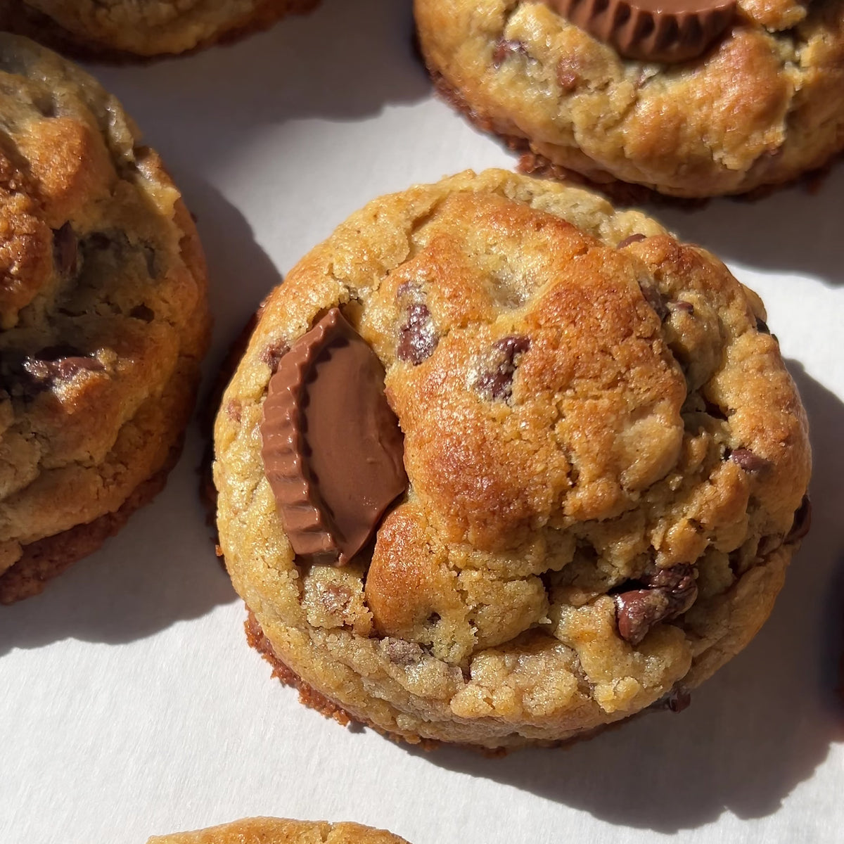 The Specialty Cookie Box
